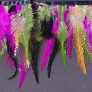 Galon Plumas Multi